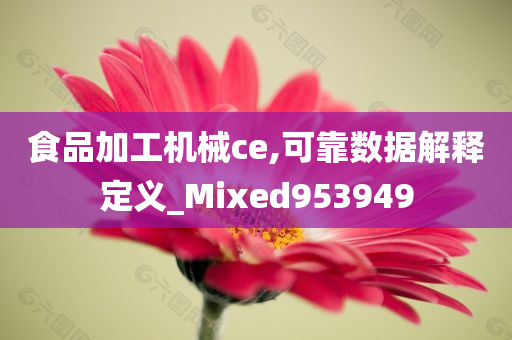 食品加工机械ce,可靠数据解释定义_Mixed953949