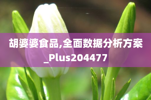 胡婆婆食品,全面数据分析方案_Plus204477