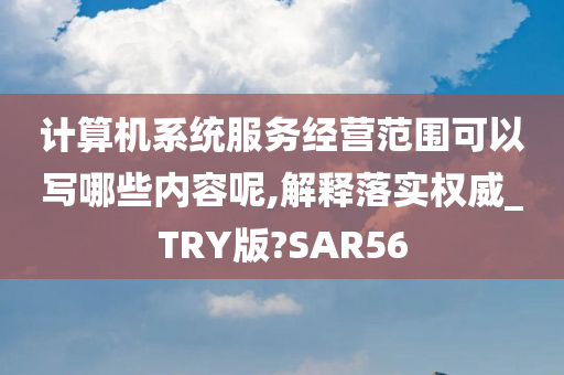 计算机系统服务经营范围可以写哪些内容呢,解释落实权威_TRY版?SAR56