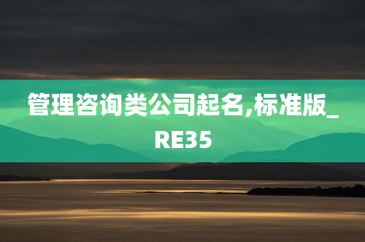 管理咨询类公司起名,标准版_RE35