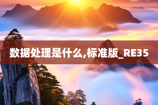 数据处理是什么,标准版_RE35