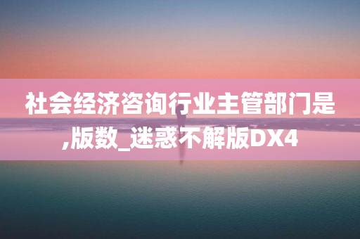 社会经济咨询行业主管部门是,版数_迷惑不解版DX4