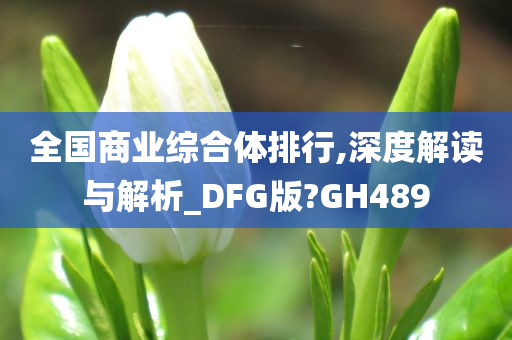 全国商业综合体排行,深度解读与解析_DFG版?GH489