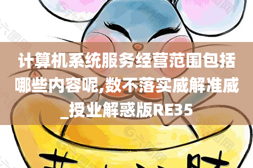 计算机系统服务经营范围包括哪些内容呢,数不落实威解准威_授业解惑版RE35