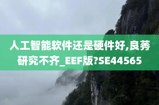 人工智能软件还是硬件好,良莠研究不齐_EEF版?SE44565