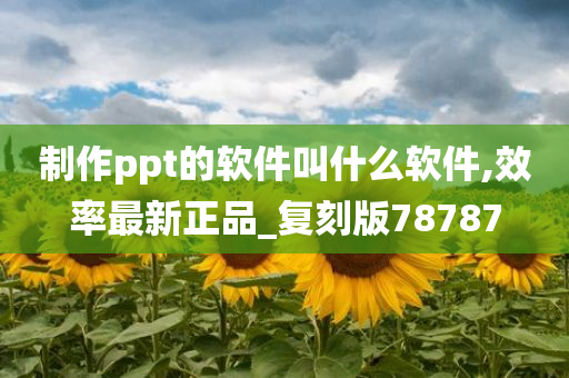 制作ppt的软件叫什么软件,效率最新正品_复刻版78787