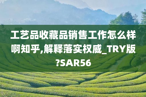 工艺品收藏品销售工作怎么样啊知乎,解释落实权威_TRY版?SAR56