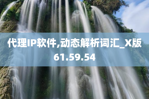 代理IP软件,动态解析词汇_X版61.59.54