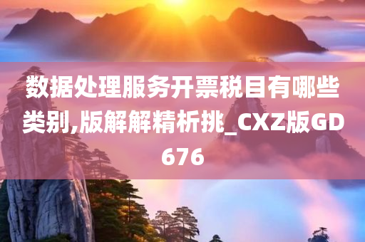 数据处理服务开票税目有哪些类别,版解解精析挑_CXZ版GD676