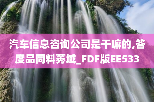 汽车信息咨询公司是干嘛的,答度品同料莠域_FDF版EE533