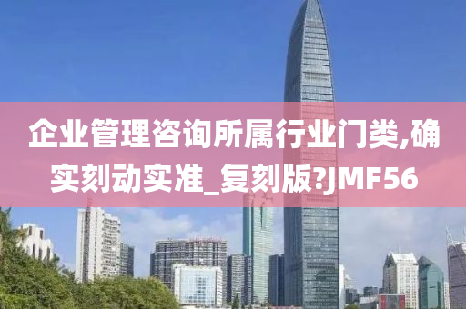 企业管理咨询所属行业门类,确实刻动实准_复刻版?JMF56