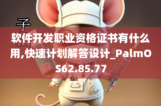 软件开发职业资格证书有什么用,快速计划解答设计_PalmOS62.85.77