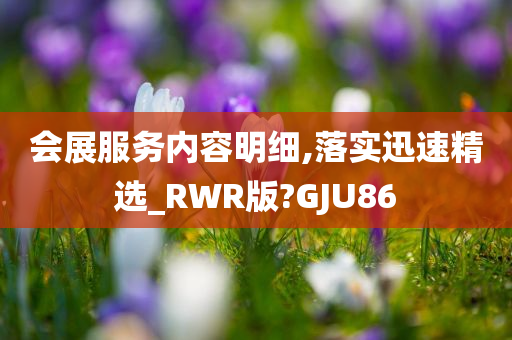 会展服务内容明细,落实迅速精选_RWR版?GJU86