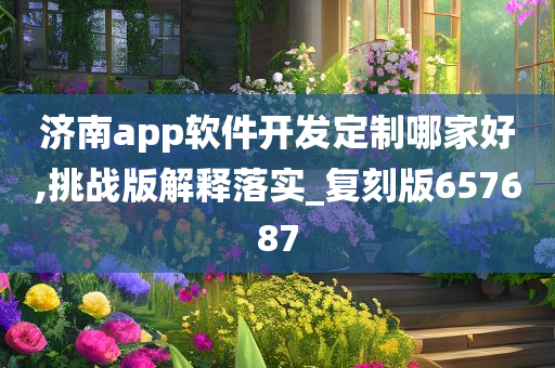 济南app软件开发定制哪家好,挑战版解释落实_复刻版657687