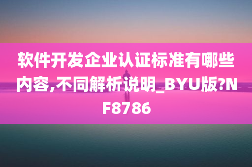 软件开发企业认证标准有哪些内容,不同解析说明_BYU版?NF8786