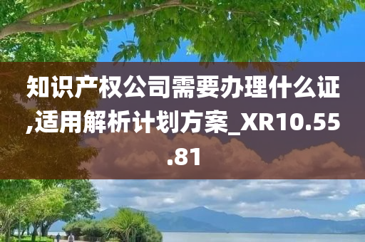 知识产权公司需要办理什么证,适用解析计划方案_XR10.55.81