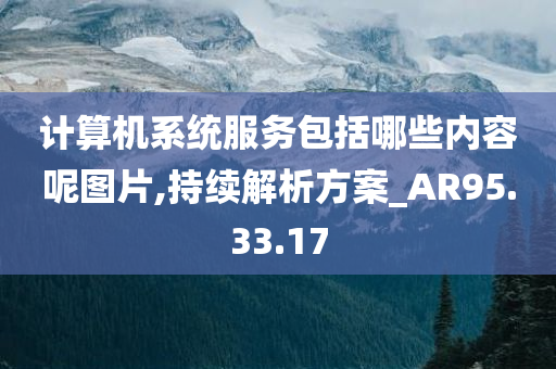 计算机系统服务包括哪些内容呢图片,持续解析方案_AR95.33.17