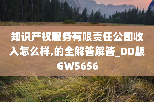 知识产权服务有限责任公司收入怎么样,的全解答解答_DD版GW5656