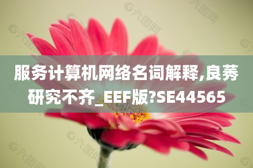 服务计算机网络名词解释,良莠研究不齐_EEF版?SE44565