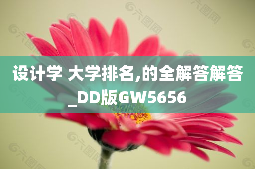 设计学 大学排名,的全解答解答_DD版GW5656