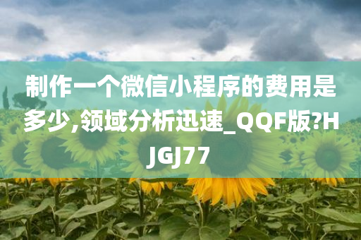 制作一个微信小程序的费用是多少,领域分析迅速_QQF版?HJGJ77