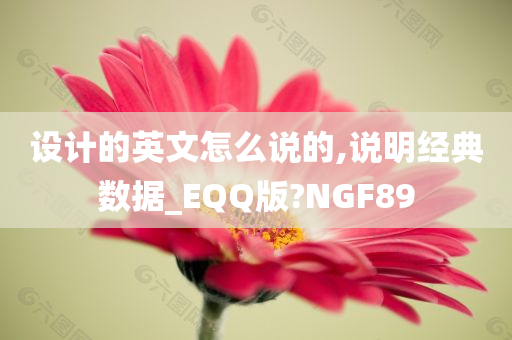 设计的英文怎么说的,说明经典数据_EQQ版?NGF89