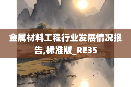 金属材料工程行业发展情况报告,标准版_RE35