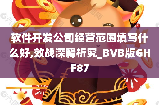 软件开发公司经营范围填写什么好,效战深释析究_BVB版GHF87