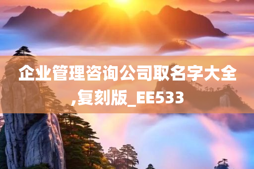 企业管理咨询公司取名字大全,复刻版_EE533