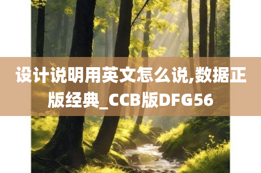 设计说明用英文怎么说,数据正版经典_CCB版DFG56