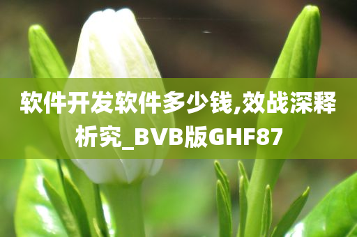 软件开发软件多少钱,效战深释析究_BVB版GHF87