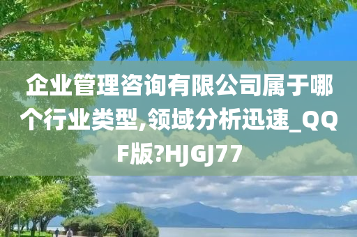 企业管理咨询有限公司属于哪个行业类型,领域分析迅速_QQF版?HJGJ77