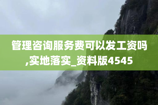 管理咨询服务费可以发工资吗,实地落实_资料版4545