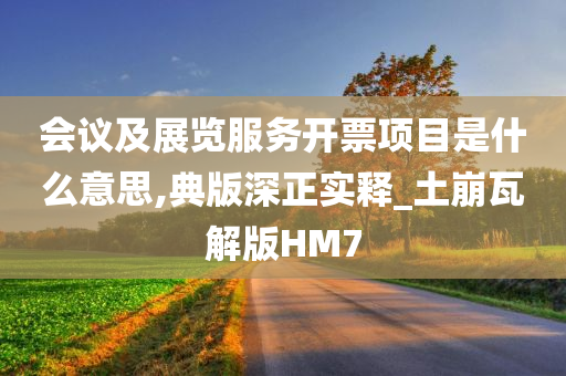 会议及展览服务开票项目是什么意思,典版深正实释_土崩瓦解版HM7