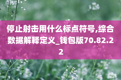 停止射击用什么标点符号,综合数据解释定义_钱包版70.82.22