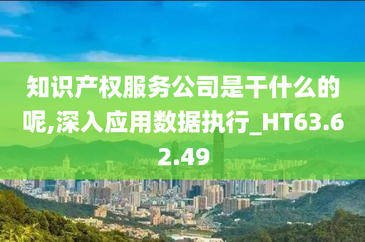 知识产权服务公司是干什么的呢,深入应用数据执行_HT63.62.49