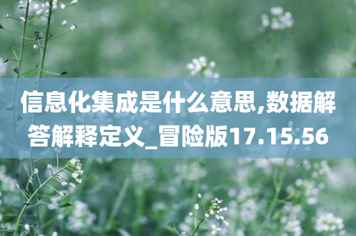 信息化集成是什么意思,数据解答解释定义_冒险版17.15.56