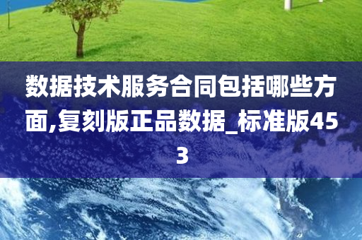 数据技术服务合同包括哪些方面,复刻版正品数据_标准版453