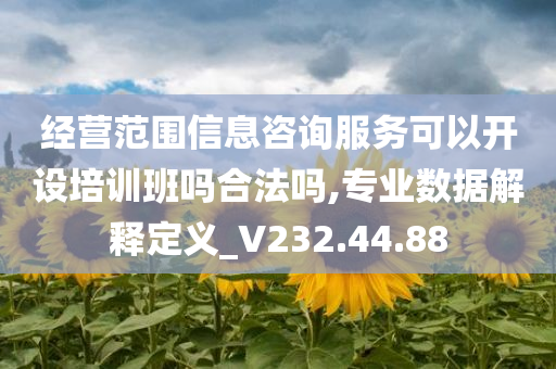 经营范围信息咨询服务可以开设培训班吗合法吗,专业数据解释定义_V232.44.88