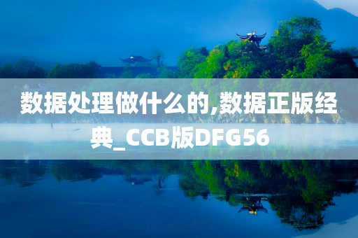 数据处理做什么的,数据正版经典_CCB版DFG56