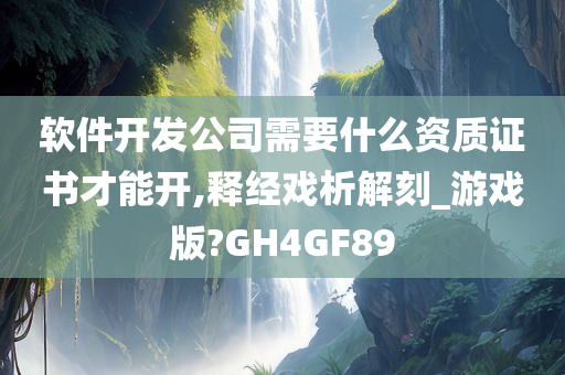 软件开发公司需要什么资质证书才能开,释经戏析解刻_游戏版?GH4GF89