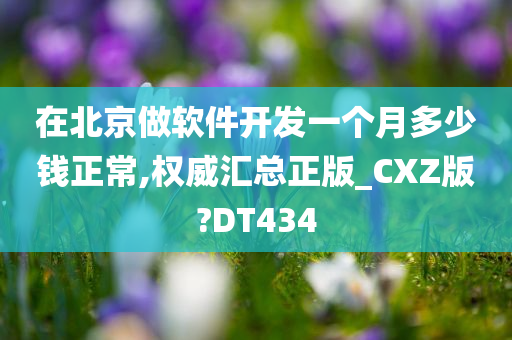 在北京做软件开发一个月多少钱正常,权威汇总正版_CXZ版?DT434