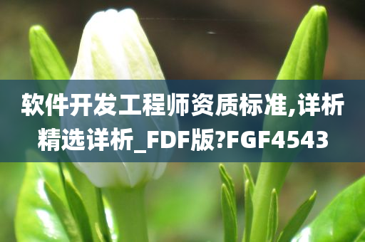 软件开发工程师资质标准,详析精选详析_FDF版?FGF4543