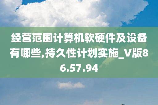 经营范围计算机软硬件及设备有哪些,持久性计划实施_V版86.57.94