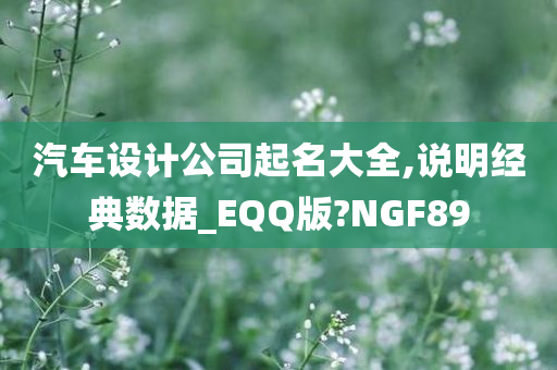 汽车设计公司起名大全,说明经典数据_EQQ版?NGF89