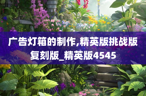 广告灯箱的制作,精英版挑战版复刻版_精英版4545