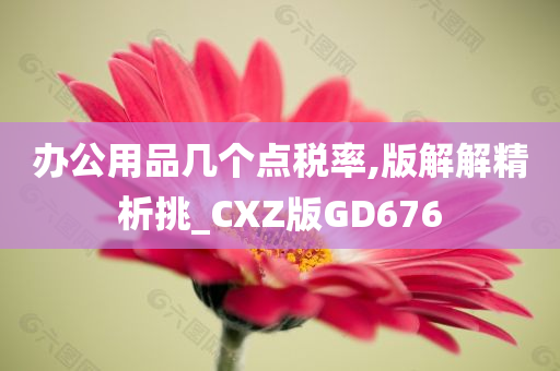 办公用品几个点税率,版解解精析挑_CXZ版GD676