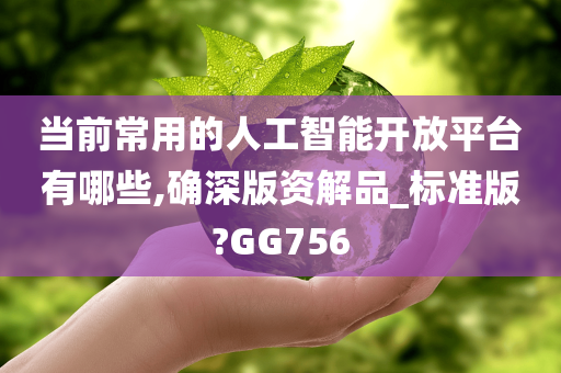 当前常用的人工智能开放平台有哪些,确深版资解品_标准版?GG756