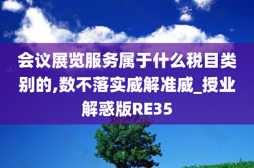 会议展览服务属于什么税目类别的,数不落实威解准威_授业解惑版RE35