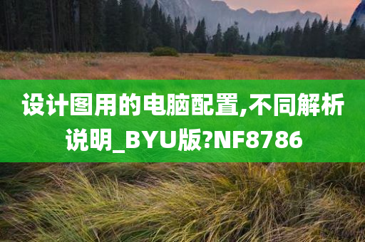 设计图用的电脑配置,不同解析说明_BYU版?NF8786